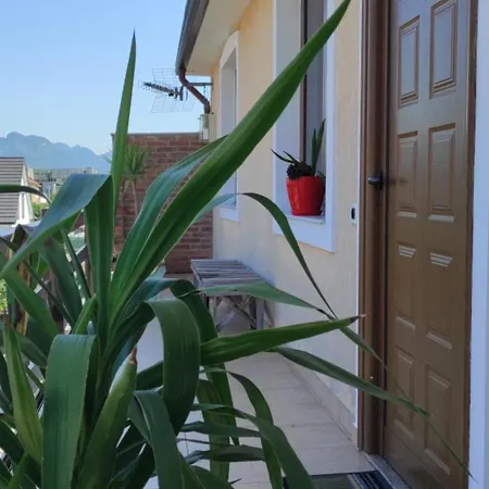 6 At Center Shkoder